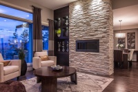 Summit at Selkirk - contemporary - living room - other metro