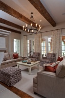 Shady Grove Family Room - traditional - family room - other metro