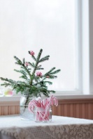 Tiny Christmas tree - eclectic -  - other metro