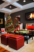 Homes for the Holidays 2012- Edmonton - contemporary - living room - edmonton