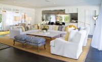 Beach House Living Room - contemporary - living room - new york