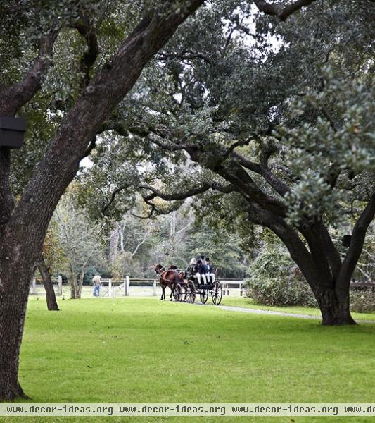 Christmas in the Heart of Texas