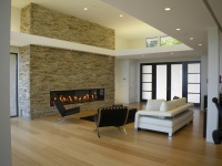 Olive Tree Lane - modern - living room - san francisco