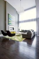 Panorama Residence - contemporary - living room - calgary