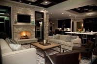 Oakley Home Builder - contemporary - living room - chicago