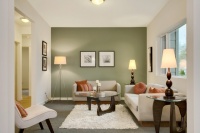 Modern Green Seattle Remodel - contemporary - living room - seattle