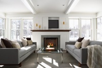 2013 Green Dream Home - contemporary - living room - minneapolis