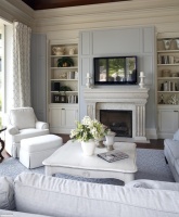 Regal Reflection - traditional - living room - burlington