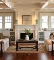 Fire Places - traditional - living room - philadelphia