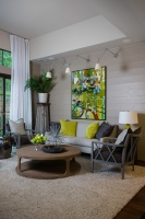 HGTV - modern - living room - atlanta