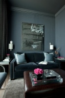 jamesthomas, LLC - contemporary - media room - chicago