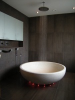 House Extension, Rathfarnham. - contemporary - bathroom - dublin