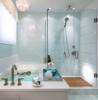 Candice Olson Bathroom 2 - contemporary - bathroom - toronto