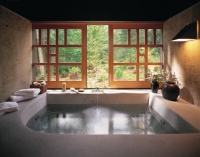 Lane Williams Architecture - contemporary - bathroom - seattle