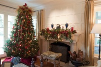 Junior League Holiday Home Tour - traditional - living room - san francisco