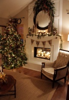 Christmas 2011 - eclectic - living room - kansas city