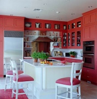 Colorful Kitchens with Charisma