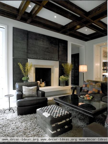 Living Room - contemporary - living room - chicago