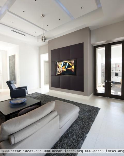 Media Wall - contemporary - media room - tampa