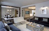 Fabulous Interior Designs, LLC - contemporary - family room - dc metro