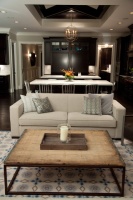 Oakley Home Builder - contemporary - living room - chicago