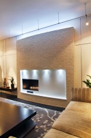 Dakota Fireplace - contemporary - living room - columbus