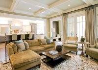 Family Room - contemporary - family room - atlanta