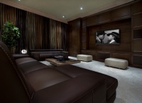 Larry - contemporary - media room - orlando