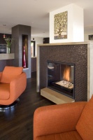 Fireplace - modern - living room - san francisco