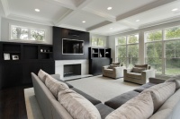 Oxford Development - contemporary - family room - chicago