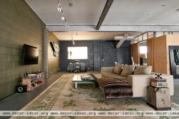 Spencer and Alex - contemporary - living room - salt lake city