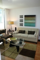 Lissee Interiors - contemporary - living room - toronto