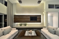 Luxury Real Estate Living Room - modern - family room - miami