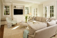 GREEN with Envy: LEED Certified Whole House Renovation - traditional - living room - dc metro