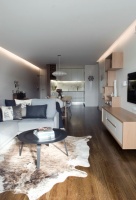 Apartment Interior Fitout - modern - living room - sydney