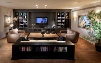 media room - contemporary - media room -