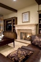 Family Room - traditional - family room - minneapolis