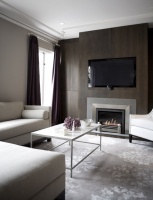 Amoroso Design - contemporary - living room - san francisco