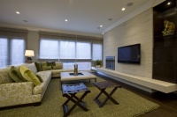 Honore-Transitional Family Room - contemporary - family room - chicago