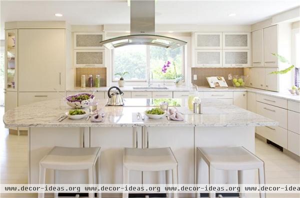 Light Contemporary Kitchen by Dawn Williams