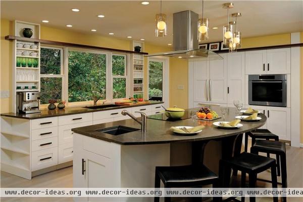 Elegant Contemporary Kitchen by Savena Doychinov