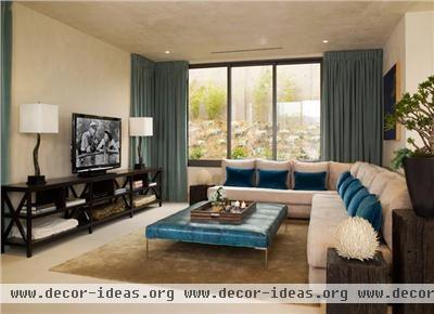 Elegant Contemporary Living Room by Lori Dennis