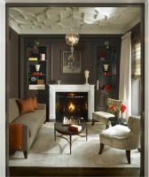 Cozy Transitional Living Room by Michael Abrams