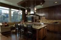 Dark Contemporary Kitchen by Susan Fredman