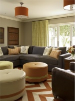 Homey Transitional Living Room by Tineke Triggs