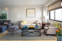 Casual Transitional Living Room by Sara Jazayeri