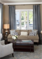 Elegant Transitional Living Room by Tineke Triggs