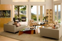 Casual Contemporary Living Room by Susan Jay Freeman