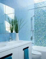 Family Bath - modern - bathroom - san francisco