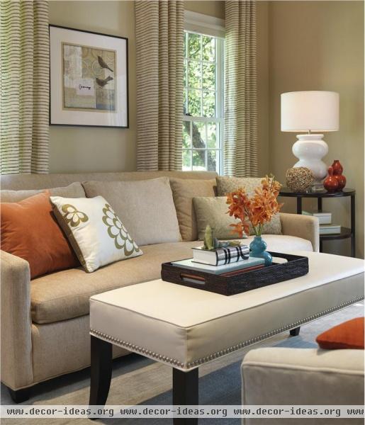 Classic Transitional Living Room by Rachel Reider